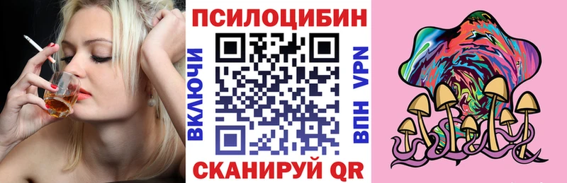 Галлюциногенные грибы Psilocybe  Купить закладки  Теберда 